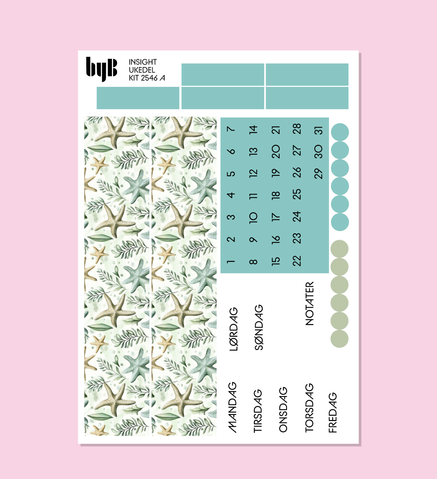 2546 INSIGHT PLANNER KIT - 3 ark