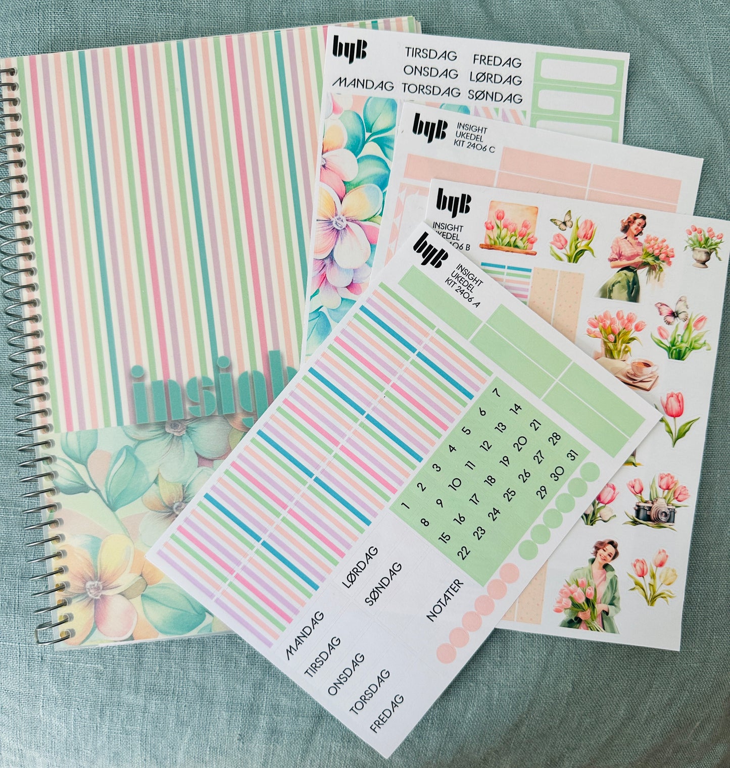 INSIGHTbyB 6 MND Budget/Planner Spiralbok - med KIT
