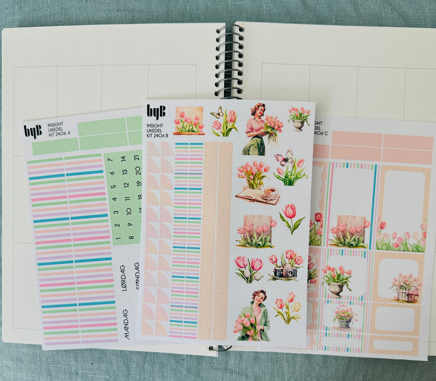 INSIGHTbyB 6 MND Budget/Planner Spiralbok - med KIT