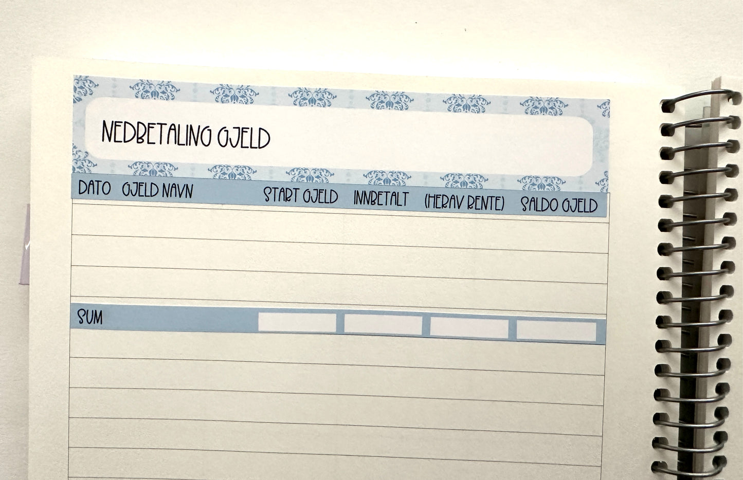 2401 E) NEDBETALING GJELD