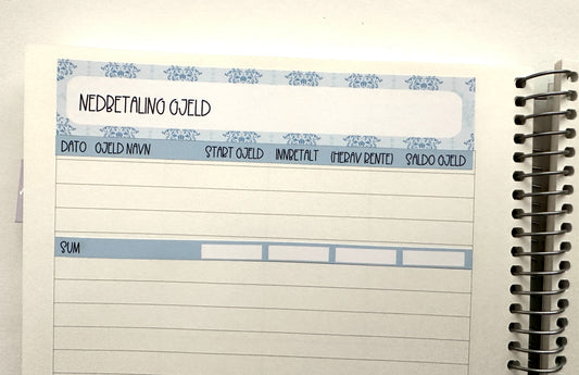 2401 E) NEDBETALING GJELD