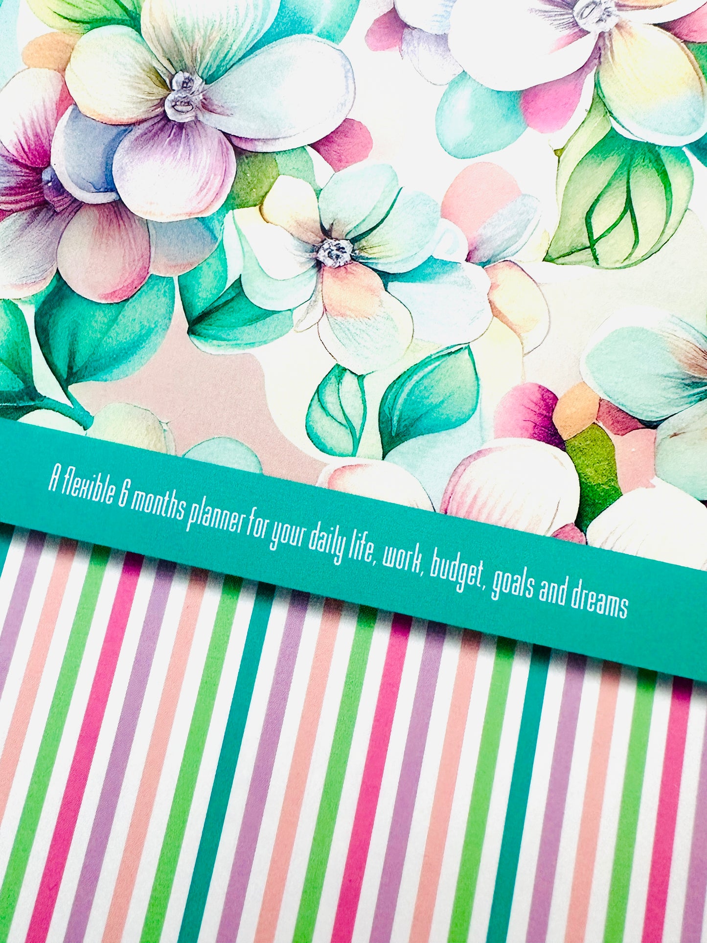INSIGHTbyB Planner & Budget Book - 6 Months Flexible Undated - Spiral Bound