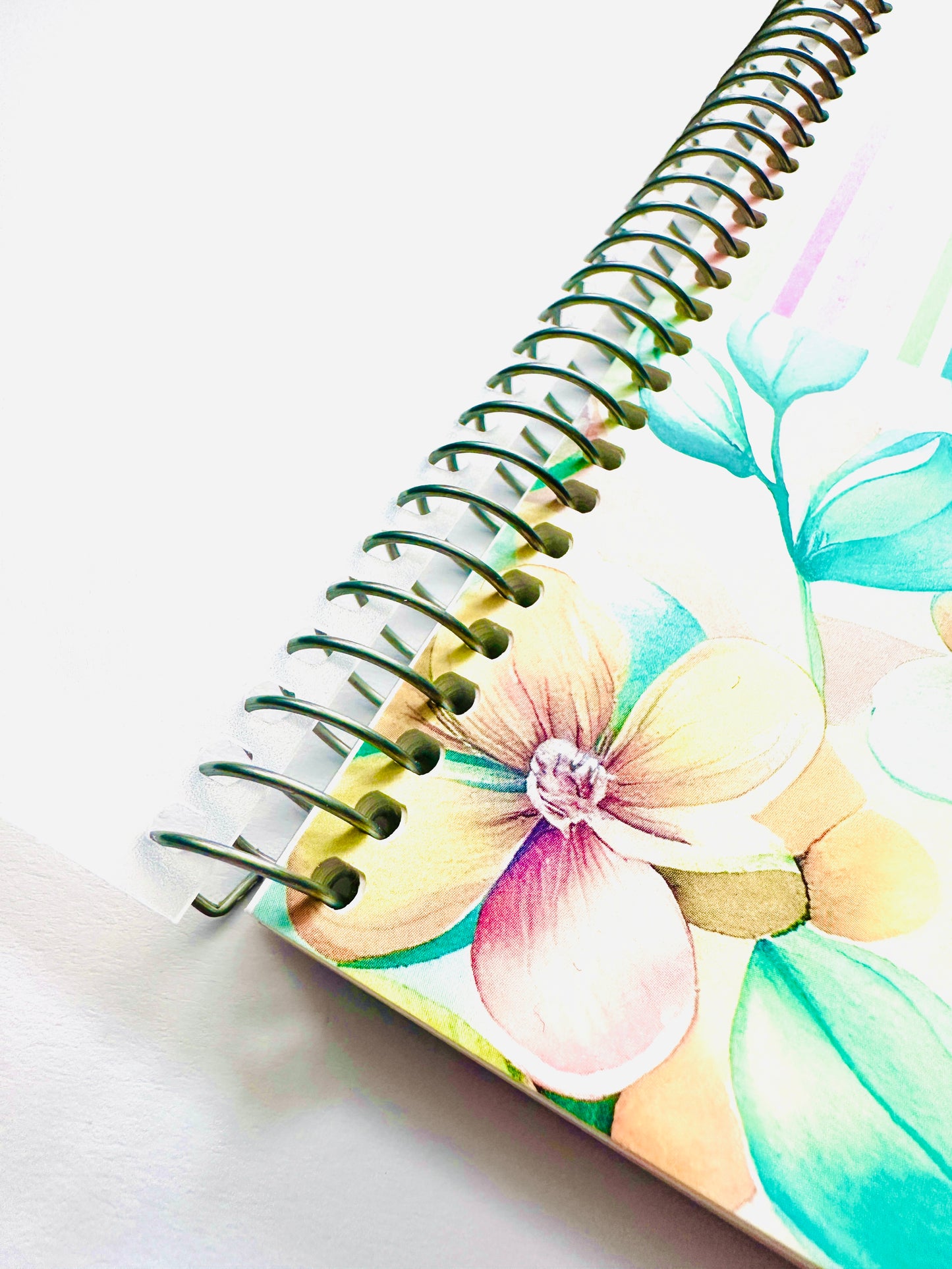 INSIGHTbyB Planner & Budget Book - 6 Months Flexible Undated - Spiral Bound
