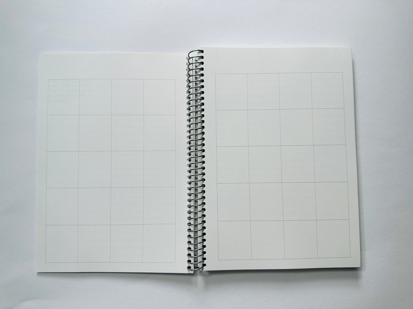 INSIGHTbyB Planner & Budget Book - 6 Months Flexible Undated - Spiral Bound