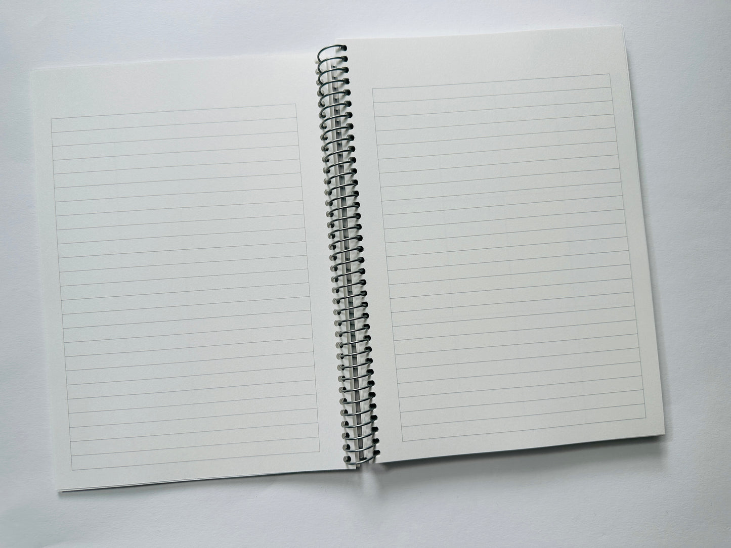 INSIGHTbyB Planner & Budget Book - 6 Months Flexible Undated - Spiral Bound