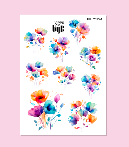 VIPPS:VIP:JULI 2025 - VANL.STR