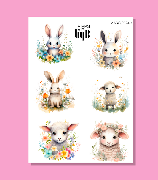 VIPPS VIP MARS 2024 (also in XS)