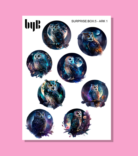 SURPRISE:BOX:5 STICKERS - FEBRUAR 2024