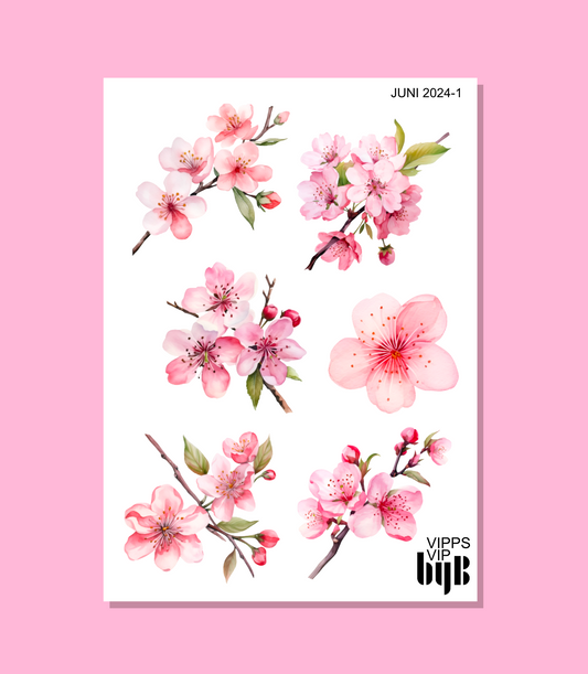 VIPPS VIP JUNI 2024 (also in XS)