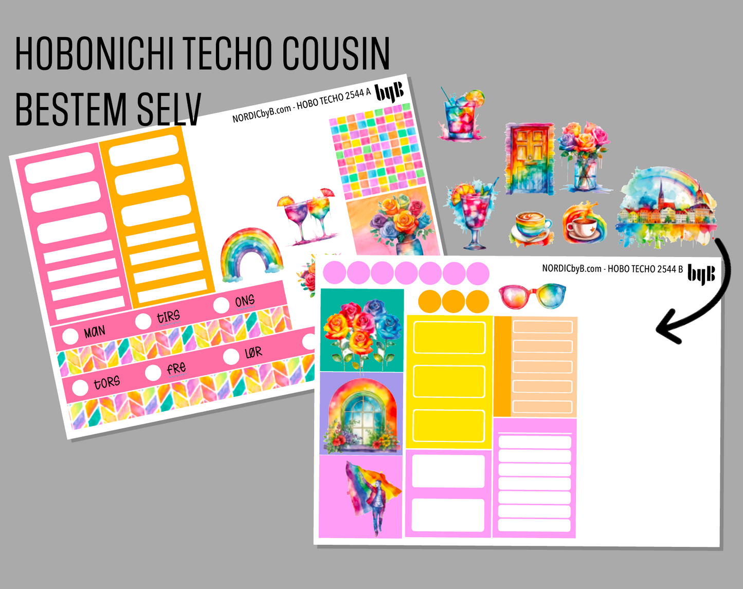 CUSTOM HOBONICHI TECHO COUSIN A5 - 2 ark