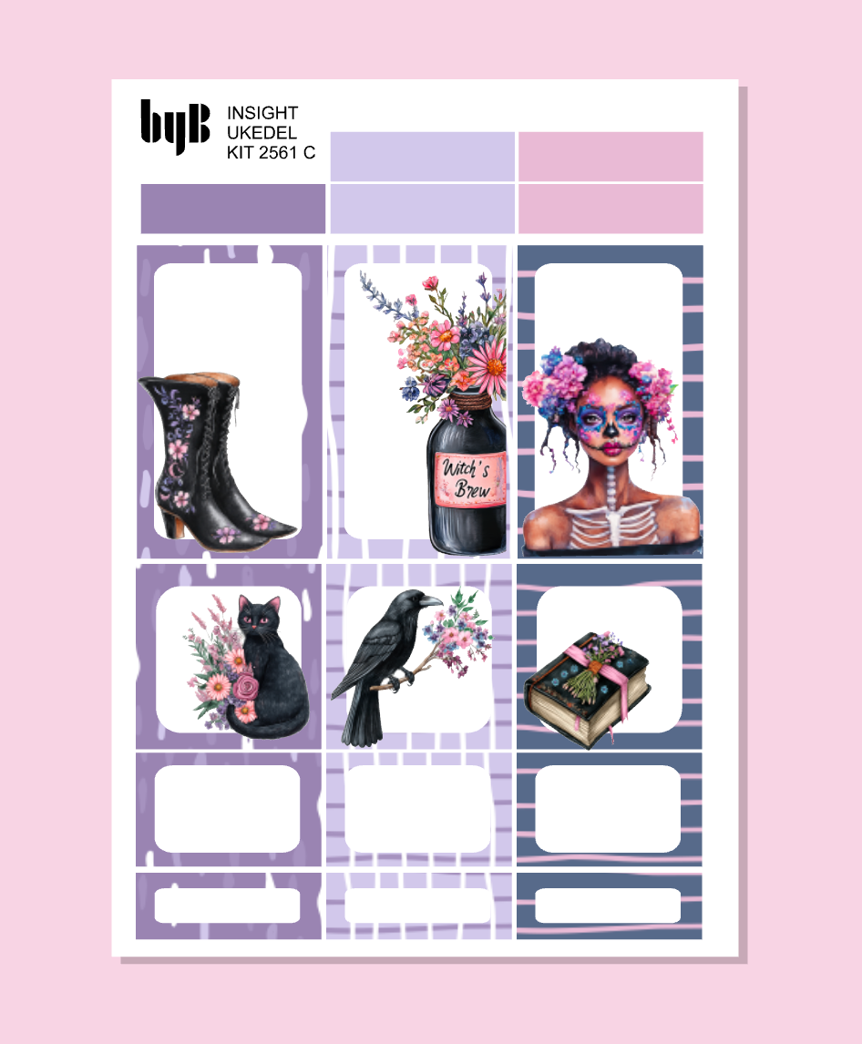 2561 INSIGHT PLANNER KIT - 3 ark