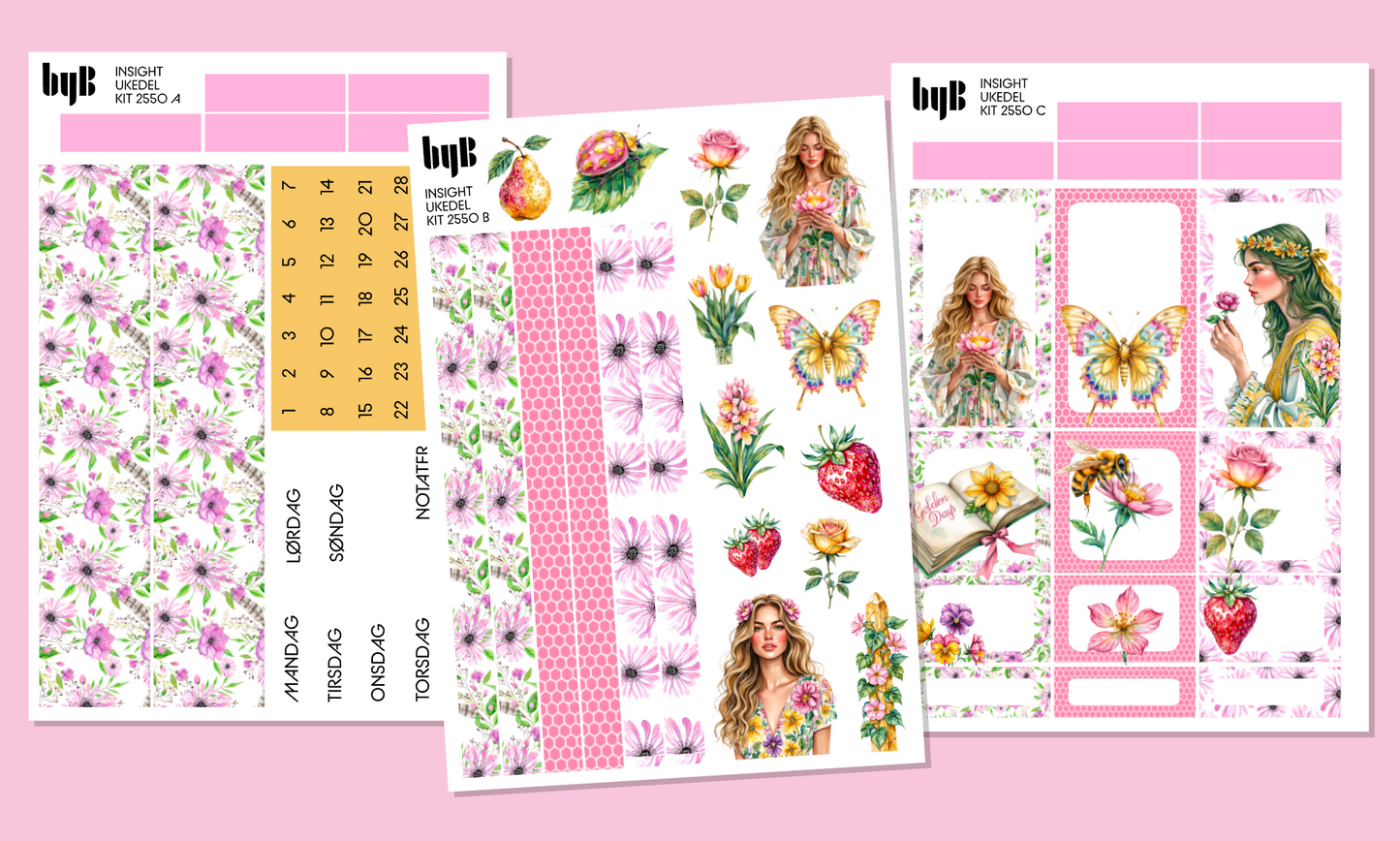 2550 INSIGHT PLANNER KIT - 3 ark
