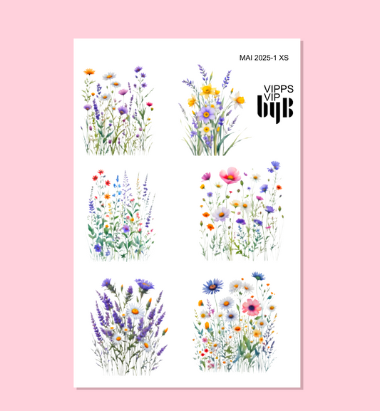 VIPPS:VIP:MAI 2025 - XS