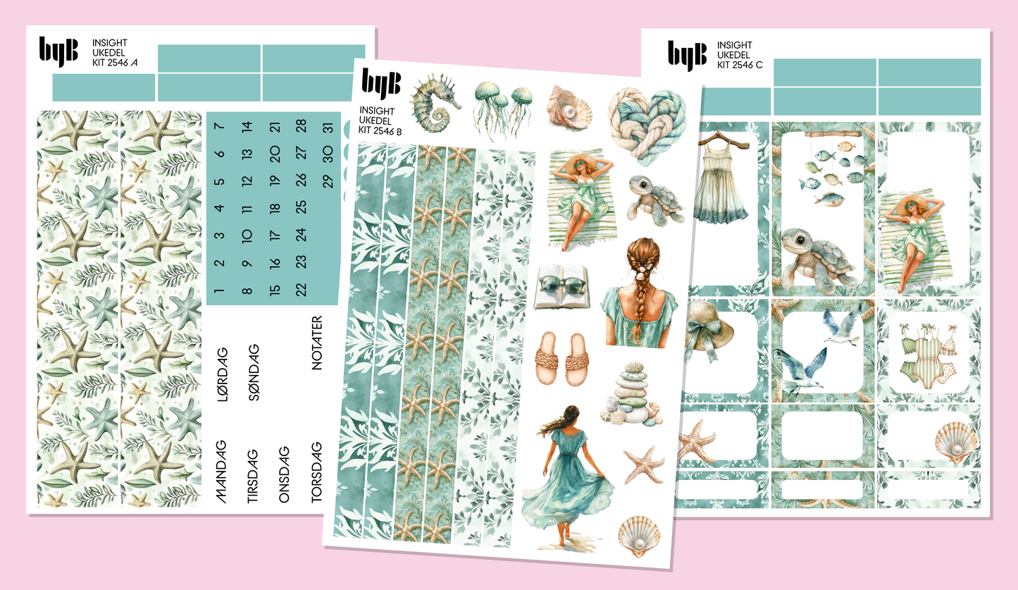 2546 INSIGHT PLANNER KIT - 3 ark