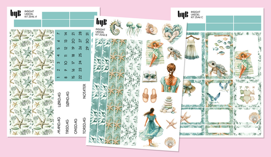 2546 INSIGHT PLANNER KIT - 3 ark