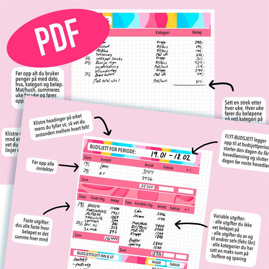 FLYT-BUDSJETT STARTPAKKE/KIT - m/pdf