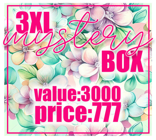 3XL MYSTERY BOX - value 3000,-
