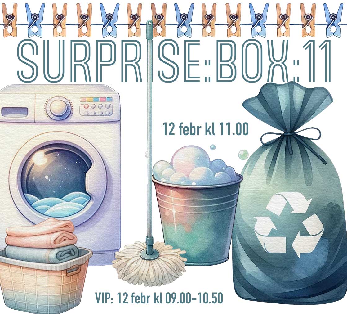 12/2 - SURPRISE:BOX:11 - NYE MULIGHETER - organisering