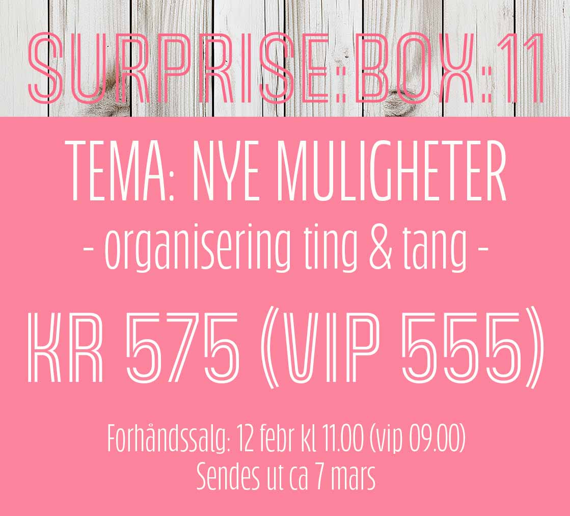 12/2 - SURPRISE:BOX:11 - NYE MULIGHETER - organisering