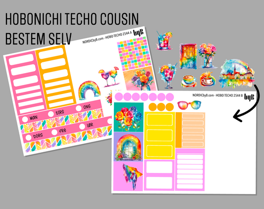 CUSTOM HOBONICHI TECHO COUSIN A5 - 2 ark