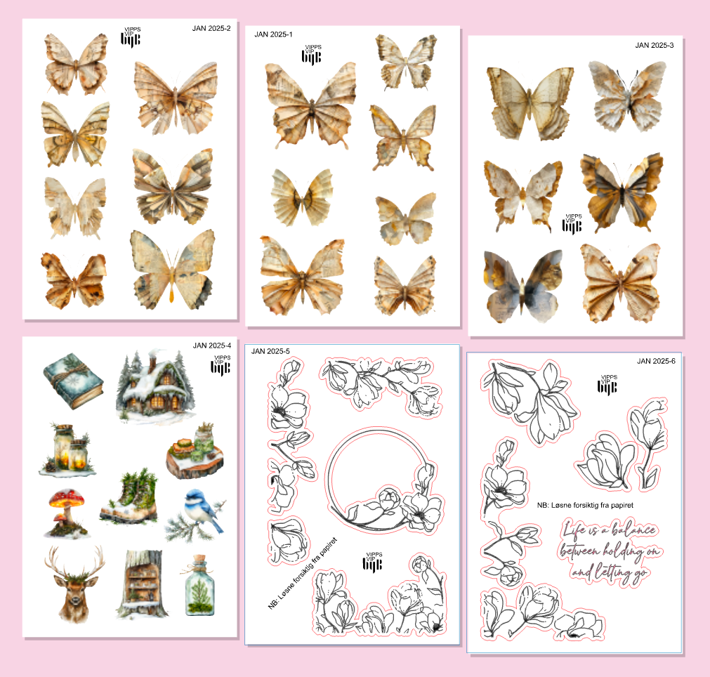 VIPPS:VIP:JAN 2026 - XS