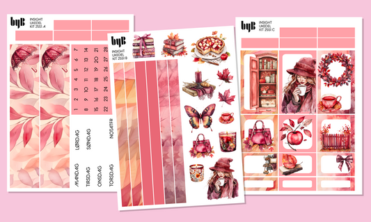 2551 INSIGHT PLANNER KIT - 3 ark