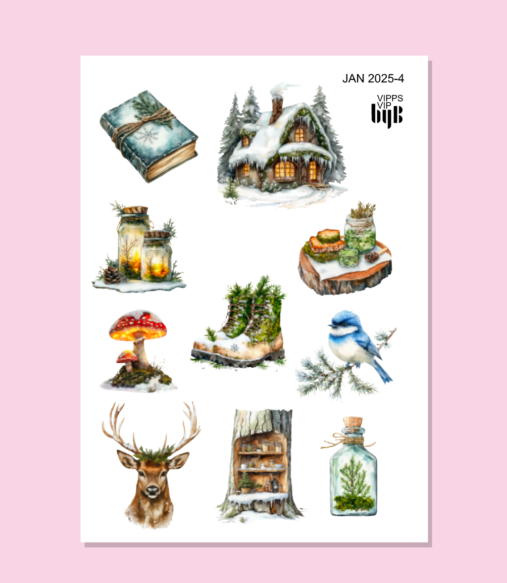 VIPPS:VIP:JAN 2026 - XS