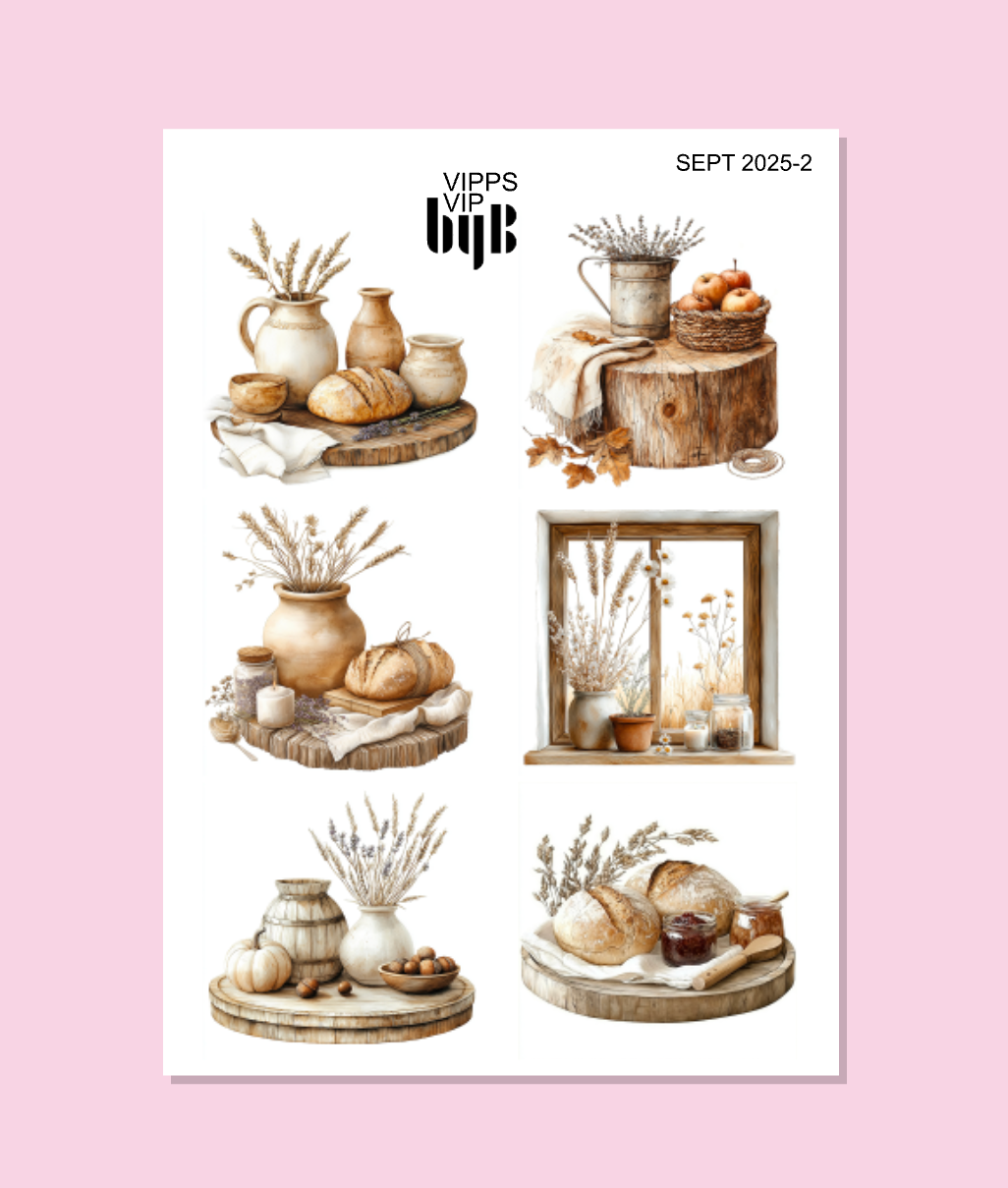 VIPPS:VIP:SEPT 2025 - XS